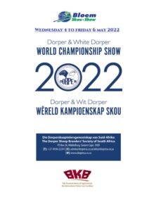 Dorper and White Dorper World Championship show 2022 @ Bloemshow