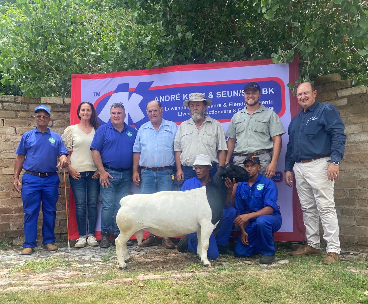 ATKA Against All Odds Sale 01.02.2024 Vryburg - DorperSA