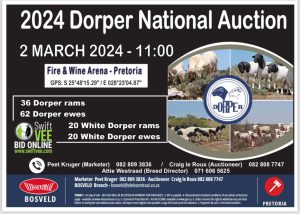 Pretoria National Dorper & White Dorper Sale @ Fire & Wine Esatate