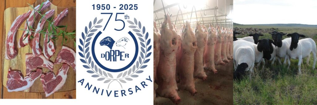 DORPER BREEDERS SOCIETY OF SA (6)